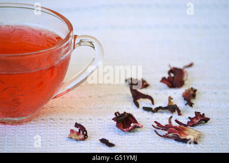 Primo piano della di hibiscus tea in coppa trasparente sulla tovaglia bianca accanto essiccati Fiori di ibisco Foto Stock