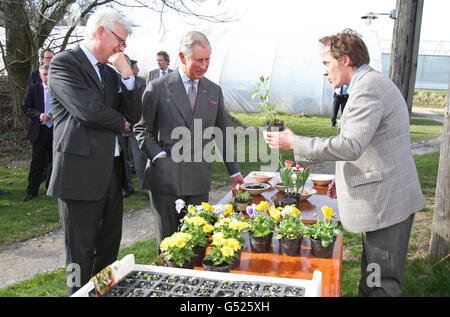 Il Principe del Galles guarda le piante durante un tour della Barritskov Organic Vegetable Farm nello Jutland, Danimarca. Foto Stock