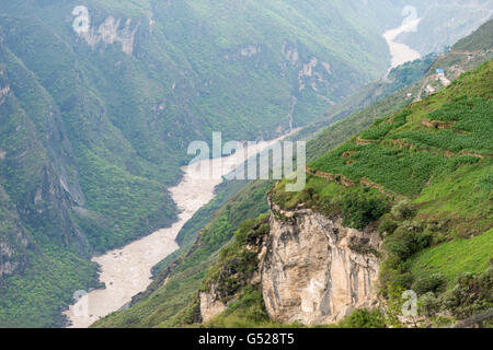 Cina Yunnan Sheng, Diqing Zangzuzizhizhou, escursione (gita di 2 giorni) per la tigre salta in gola del fiume Yangtze, scogliere boscose accanto al fiume Foto Stock