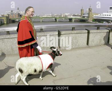 Il Sindaco Lord di Londra, Clive Martin OBE, mandria di pecore attraverso il London Bridge. Il gregge faceva parte dell'appello del Signore Sindaco 2000, che sta raccogliendo denaro per l'opera di carità dei bambini di Barnardo. * al Sindaco si è Unito 400 freeman, che esercitavano il loro diritto medievale al bestiame da allevamento attraverso il ponte, evitando quindi di pagare le tasse per entrare nella Città di Londra. Foto Stock