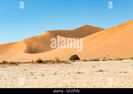 La Namibia, Hardap, Sossusvlei, punto più alto (picco) del Big Daddy dune Foto Stock