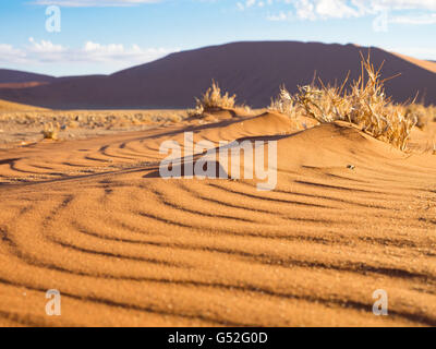 La Namibia, Hardap, Sossusvlei, wave pattern in sabbia a duna 45 Foto Stock