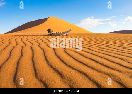 La Namibia, Hardap, Sossusvlei, lo scheletro nel deserto di Sossusvlei, dune 45 Foto Stock