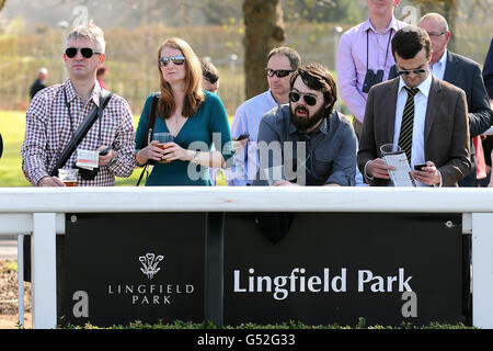 Horse Racing - Inverno Derby Day - Lingfield Park Foto Stock