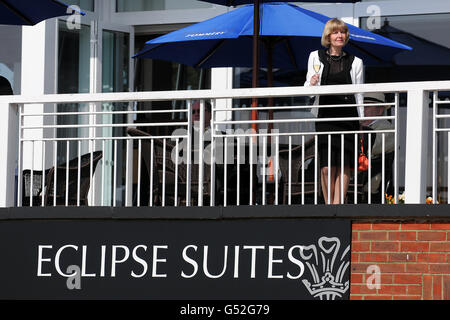 Horse Racing - Inverno Derby Day - Lingfield Park Foto Stock