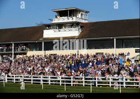 Horse Racing - Inverno Derby Day - Lingfield Park Foto Stock