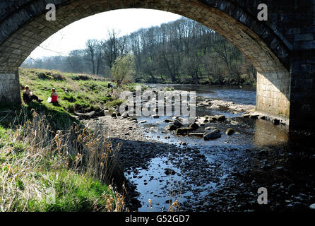 La gente siede vicino al fiume Wharfe vicino all'abbazia di Bolton, nello Yorkshire del Nord che sta funzionando ad un livello basso per il periodo dell'anno. Foto Stock