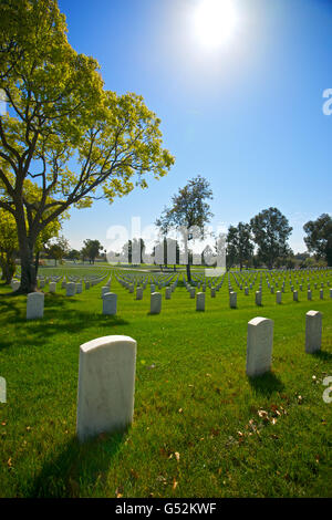 Le lapidi si estendono riga dopo riga nella distanza di Los Angeles il Cimitero Nazionale in California. Foto Stock