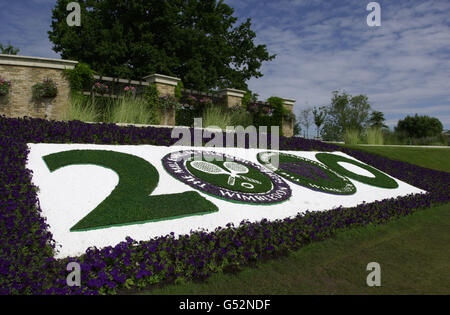 Fiore di Wimbledon-letto Foto Stock