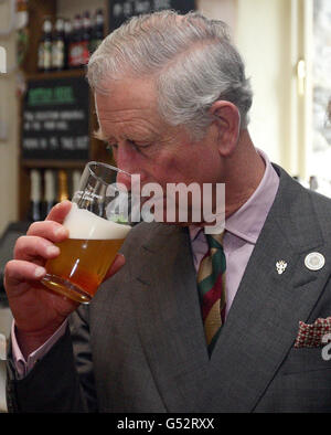 Il Principe del Galles puzza una pinta di Windermere pale amaro alla Hawkshead Brewery presso il Staveley Mill Yard Business Park a Staveley, Cumbria. Foto Stock