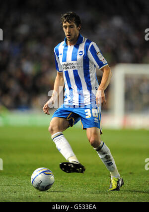 Calcio - Npower Football League Championship - Brighton & Hove Albion v Reading - AMEX Stadium. Brighton & Hove Albion's Will Buckley Foto Stock