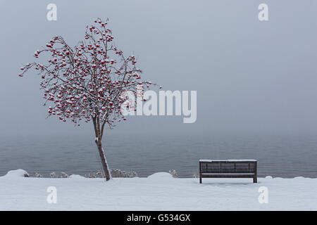 Una scena nevoso di una panchina nel parco dal Lago Okanagan vicino a Kelowna British Columbia Canada in inverno Foto Stock