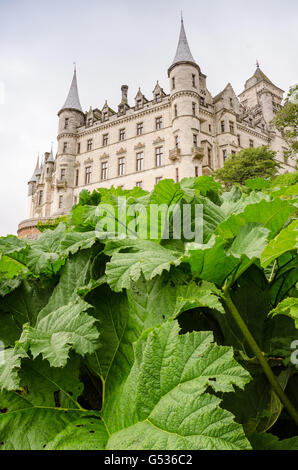 Regno Unito, Scozia, Highland, Golspie, Dunrobin Castle vista dal giardino, ha 189 camere sulla costa est della Scozia, a nord di Golspie Foto Stock