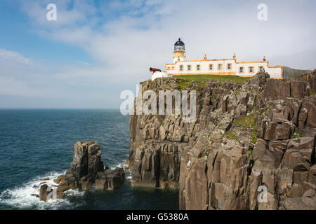 Regno Unito, Scozia, Highland, Isola di Skye, Glendale, pecore sui pascoli ovini su Neist Point, una penisola sull'isola scozzese di Skye Foto Stock