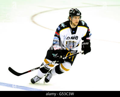 Hockey su ghiaccio - Elite Ice Hockey League - 2012 play off - finale - Cardiff Devils v Nottingham Panthers - Capital FM Arena Foto Stock