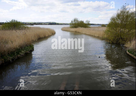 Una visione generale del lago Chew Valley vicino a Bristol, come l'Agenzia per l'ambiente ha dichiarato zone ufficiali di siccità in altre 17 contee inglesi e ha detto che le carenze potrebbero durare fino a Natale o oltre. Foto Stock