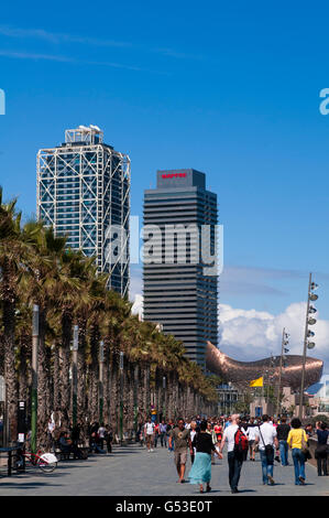 L'Hotel Arts e Torre Mapfre, La Barceloneta, Barcellona, Spagna, Europa Foto Stock