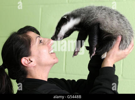 Scottish SPCA Wildlife Rescue Center Foto Stock