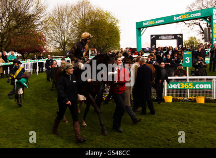 Corse di cavalli - tra 365 Ultimate Celebration Day - Ippodromo di Sandown Park. Daryl Jacob porta il vincitore della bet365 Gold Cup che insegue Tidal Bay nel cerchio dei vincitori dopo la loro vittoria Foto Stock