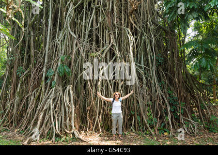 Indonesia, Java Barat, Kota Bogor, che pongono di fronte a un albero, Kebun Raya Bogor, Giardino Botanico Foto Stock