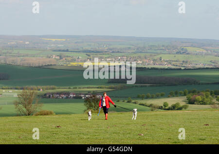 Una donna cammina i cani sulle Dunstable Downs nel Bedfordshire, come gran parte dell'Inghilterra e del Galles è stato sostenuto per le inondazioni di oggi, come l'ulteriore pioggia pesante ha continuato a causare il caos in tutto il paese. Foto Stock