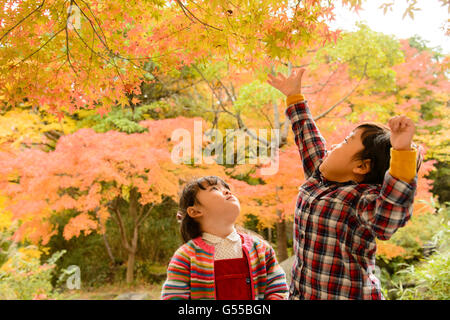 Bambini che giocano in un parco Foto Stock