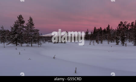 Inverno a Urho Kekkonen national park, Sodankylä, Lapponia, Finlandia, Europa, UE Foto Stock