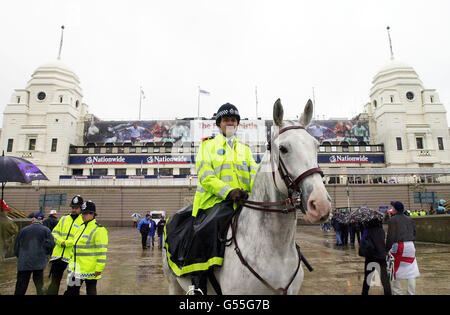 WEMBLEY cavallo di polizia Foto Stock