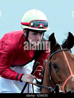 Horse Racing - Betfred Derby giornata di prova - Lingfield Park Foto Stock