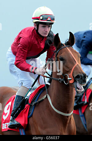 Corse di cavalli - giorno di prova di Betfred Derby - Lingfield Park. Jockey Kieran o'Neill durante la giornata di prove di Betfred Derby all'ippodromo di Lingfield Park. Foto Stock