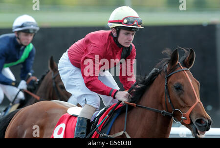 Horse Racing - Betfred Derby giornata di prova - Lingfield Park Foto Stock