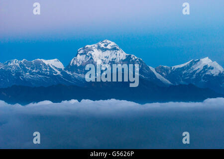 Il Nepal, Regione Occidentale, Ghode Pani, sul circuito di Annapurna - Giorno 14 - Ghorepani a Tikhe Dhunga - Dhaulagiri, 8167 m (parete sud) da Poon Hill Foto Stock