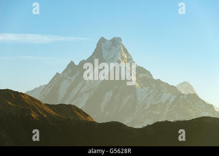 Il Nepal, Regione Occidentale, Ghode Pani, sul circuito di Annapurna - Giorno 14 - Ghorepani a Tikhe Dhunga - Machhapuchare, 6993 m dal Poon Hill prima del sorgere del sole Foto Stock