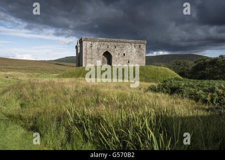 Castello medievale conserva il castello di Hermitage, vicino Newcastleton, Roxburghshire, Scozia, Settembre Foto Stock