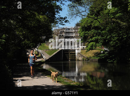 Un jogger corre con il suo cane lungo il canale di Leeds e Liverpool a Five Rise Locks, Bingley, West Yorkshire, mentre il caldo tempo continua in tutto il Regno Unito. Foto Stock