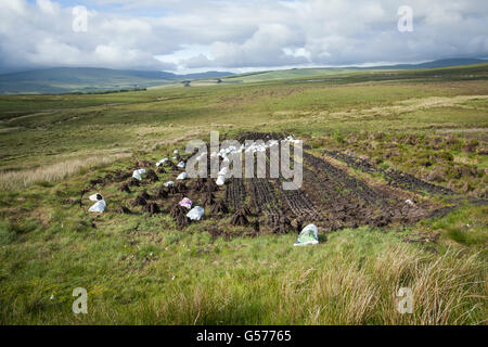 La macchina taglia turf essiccazione in un campo di torba Foto Stock