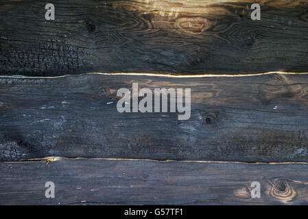 Closeup texture di legno bruciato trunk. sfondo Foto Stock