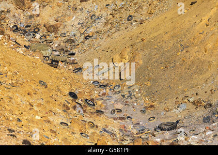 I pneumatici in disuso a Parys montagna sull'Isola di Anglesey Foto Stock