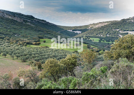 Mediterraneo arbusteti e croplands su montagne di quarzite. Foto scattata a Toledo montagne, Ciudad Real Provincia, Spagna Foto Stock