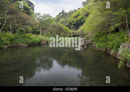 Vista del fiume Cheonjiyeon e alberi verdeggianti nei pressi di Cheonjiyeon cade sull'Isola di Jeju in Corea del Sud. Foto Stock