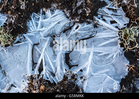 Modelli di ghiaccio nelle pozzanghere congelate Foto Stock