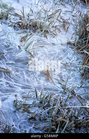 Modelli di ghiaccio nelle pozzanghere congelate Foto Stock