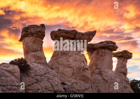 Toadstool rimrocks sagomato chiamato hoodoos al sunrise in grande scala Escalante National Monument vicino a Kanab, Utah. Foto Stock