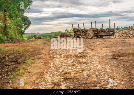 Minas Gerais, Brasile, Dec,27 - 2015: uomo nella natura godendo di una off road quad in bicicletta in campagna. Foto Stock