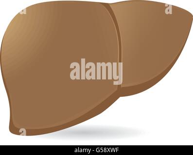 Il fegato umano vettore Illustrazione Vettoriale