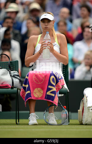 Tennis - 2012 campionati di Wimbledon - Giorno 3 - All England Lawn Tennis e Croquet Club Foto Stock