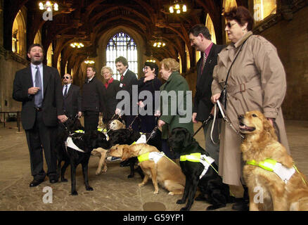 Il Segretario per l'istruzione David Blunkett (a sinistra) e il suo cane guida, Lucy, incontrano i membri della Guide Dogs for the Blind Association nella Great Hall, Houses of Parliament, Londra. * la reception ha celebrato l'introduzione della legislazione che richiede ai tassisti autorizzati di portare cani guida nelle loro auto a seguito di una campagna lanciata circa un anno fa dopo che i proprietari di cani guida si erano lamentati che erano stati lasciati bloccati dai tassisti che rifiutavano di prendere i loro cani. Foto Stock