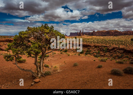 Il Totem Pole pilastro guglia di roccia Monument Valley Arizona USA Foto Stock