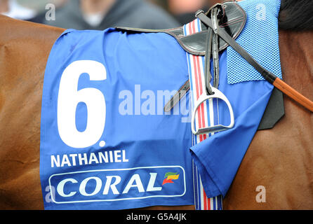 Corse ippiche - Coral Eclipse Summer Festival - Coral Eclipse Day - Sandown Park. Numero sella Nathaniel per Coral-Eclipse Foto Stock