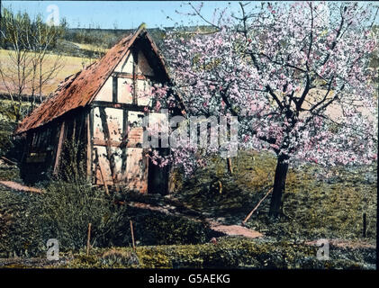 lm herrlichen Süden unseres Vaterlands, im schönen Schwarzwald, ist der Frühling eingekehrt. Da wollen wir unsere Reise durch die Schönheiten der deutschen Heimat beginnen. Zum motto gilt uns das Dichterwort: OH Deutschland, gefallen di mir Hat in manchem schönen Land, Dir aber Hat Gott vor allen Das beste Teil erkannt.» Germania, 1910, 1920, 20 ° secolo, archivio, Carl Simon, viaggio, storia, storia, collezione esquisit, primavera, primavera, casa, capanna, fioritura, paesaggio, natura, Foresta Nera Foto Stock